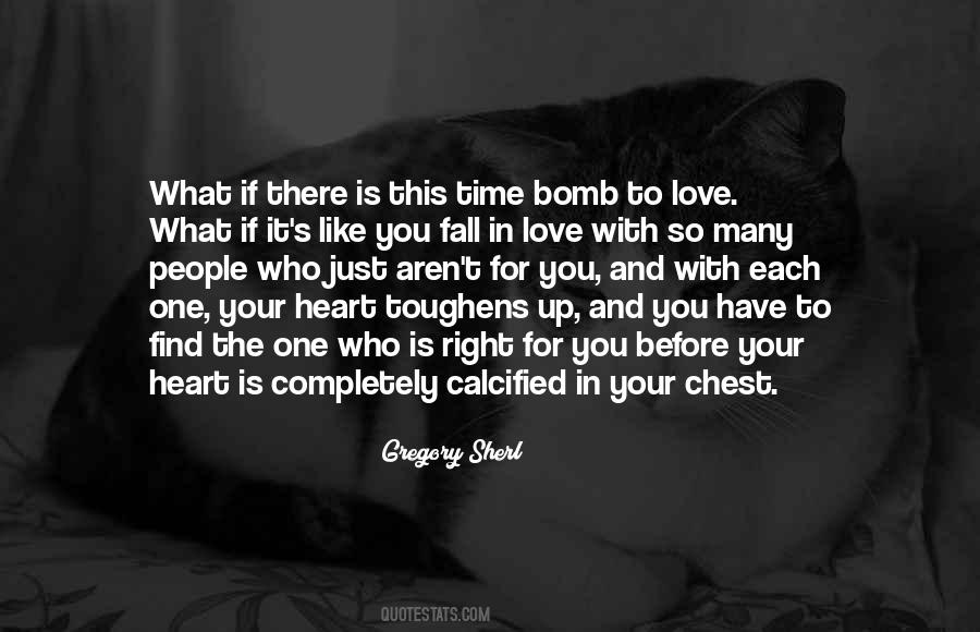 Gregory Sherl Quotes #102627