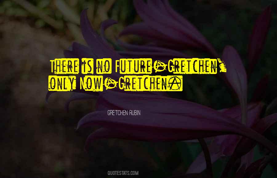 Gretchen Rubin Quotes #528187