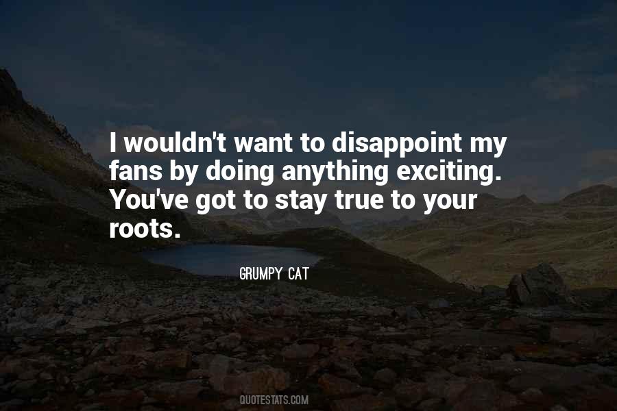 Grumpy Cat Quotes #1356701 Grumpy Cat Quotes #1356701