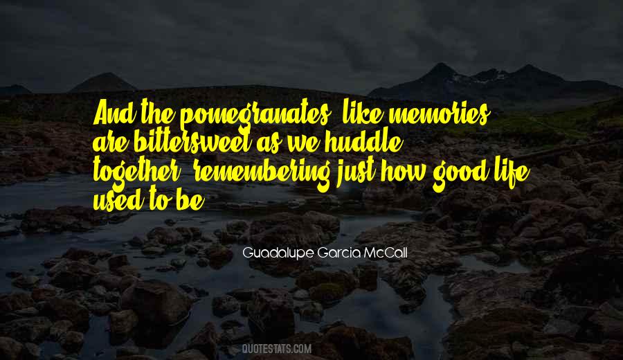 Guadalupe Garcia McCall Quotes #829685