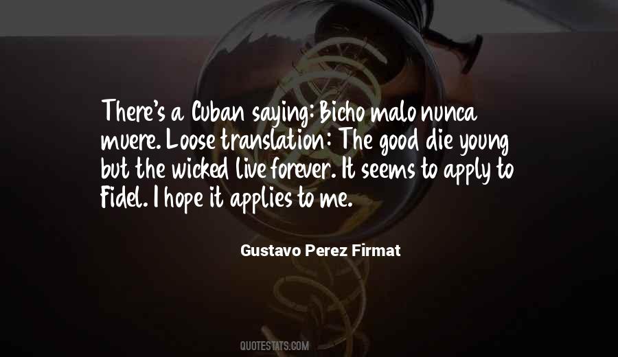 Gustavo Perez Firmat Quotes #205524