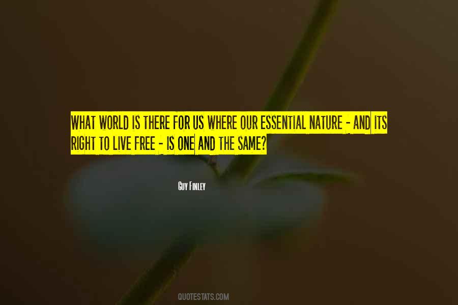 Guy Finley Quotes #964677