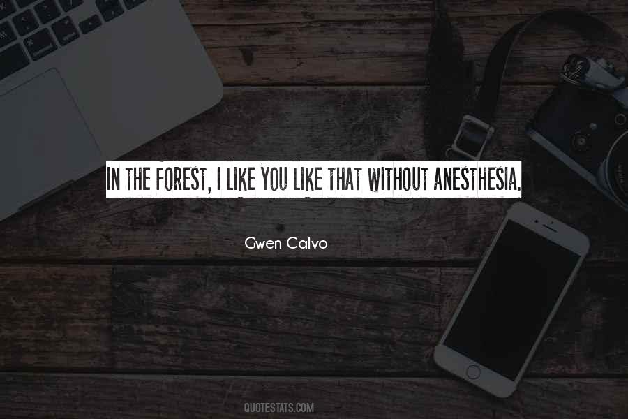 Gwen Calvo Quotes #864236