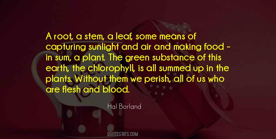 Hal Borland Quotes #440103