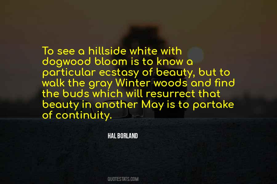 Hal Borland Quotes #53331