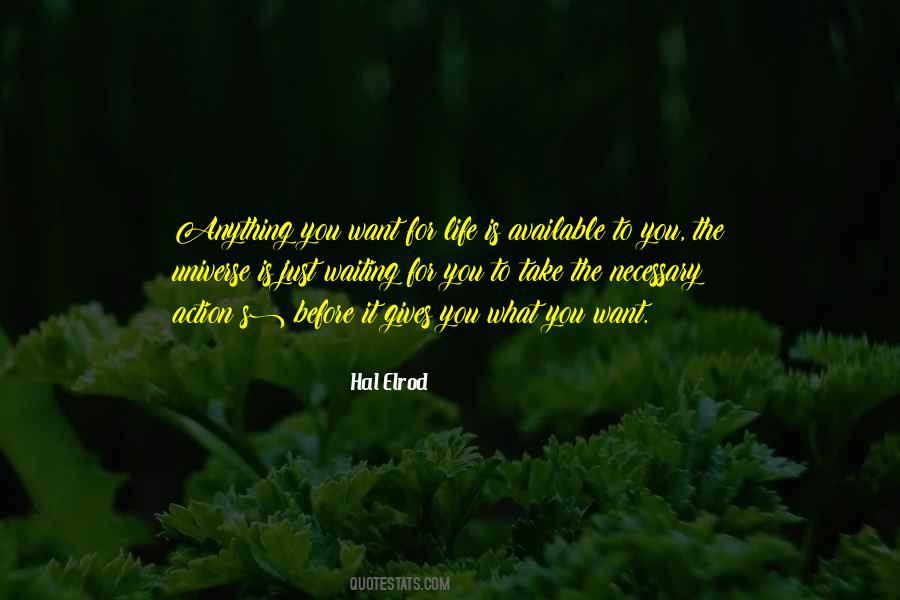 Hal Elrod Quotes #224247