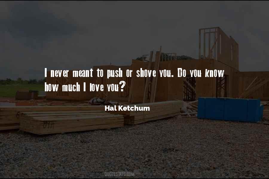 Hal Ketchum Quotes #67621