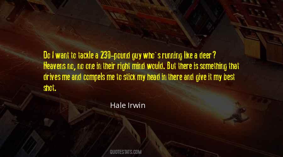Hale Irwin Quotes #1655607