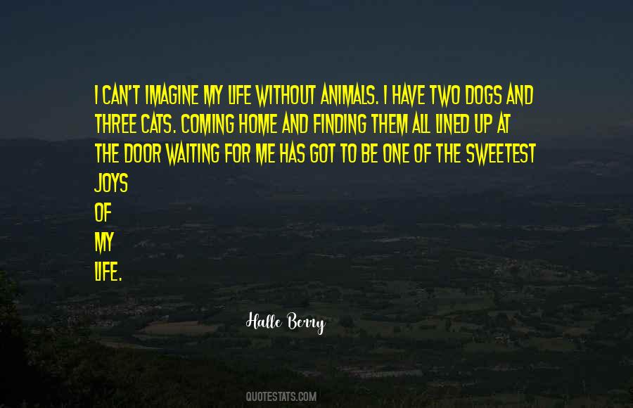 Halle Berry Quotes #396999