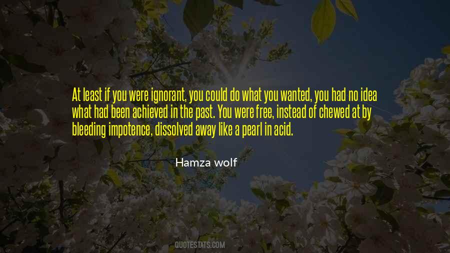 Hamza Wolf Quotes #242710