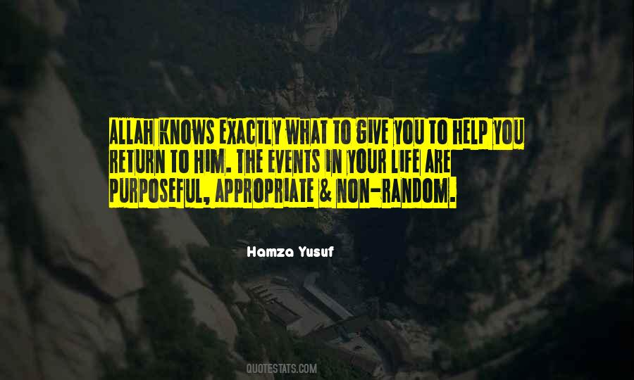 Hamza Yusuf Quotes #1045643