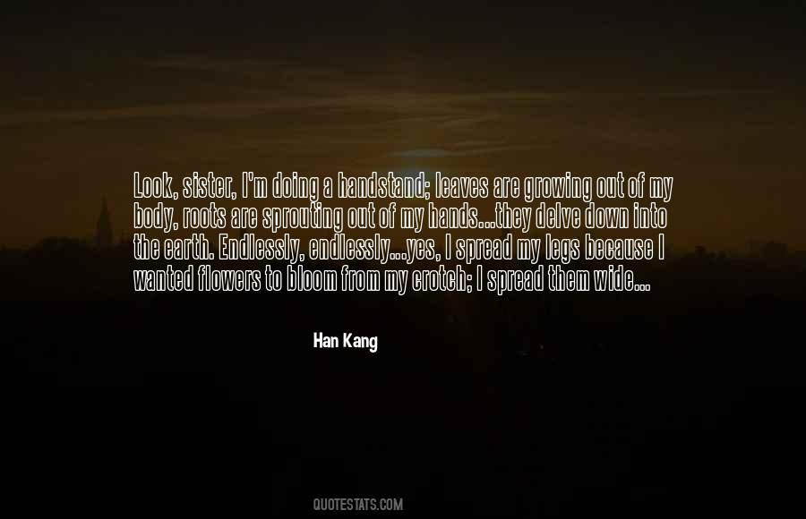 Han Kang Quotes #514910