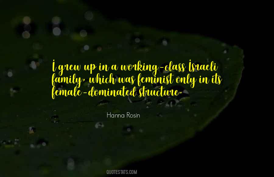 Hanna Rosin Quotes #1588675