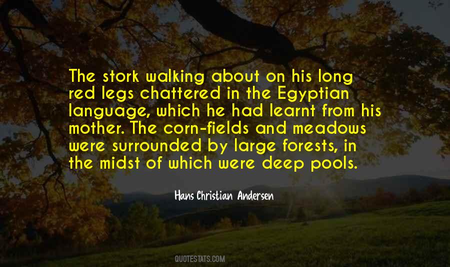 Hans Christian Andersen Quotes #1048644