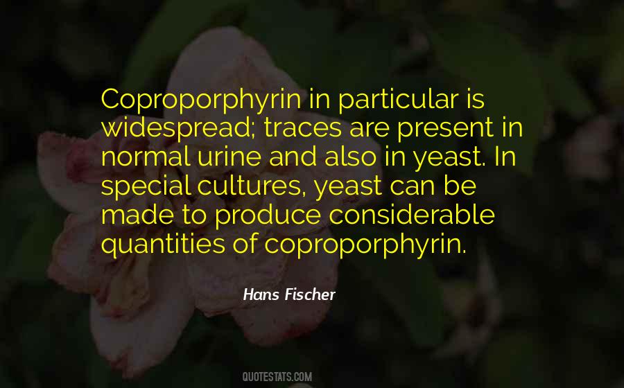 Hans Fischer Quotes #836334