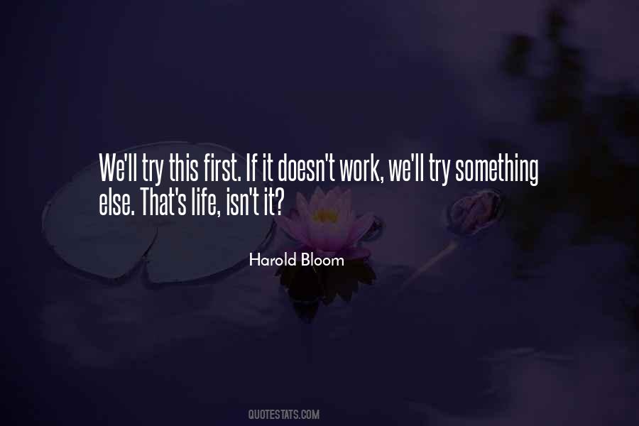 Harold Bloom Quotes #790470