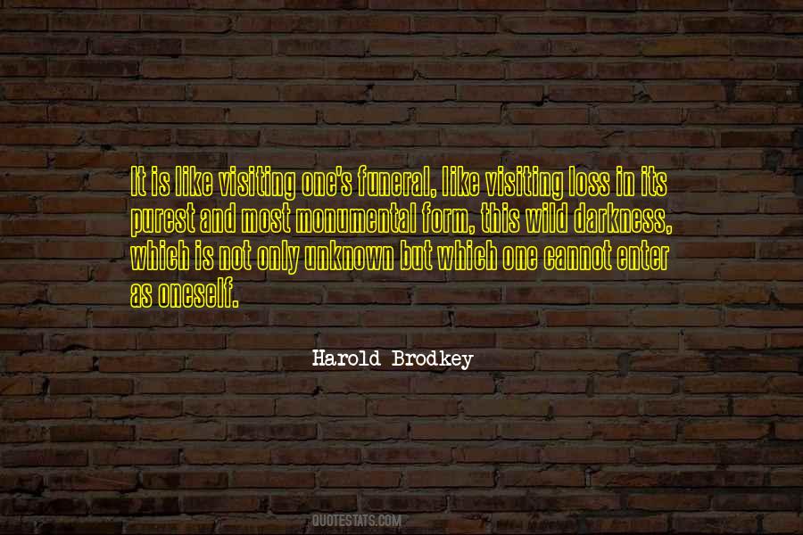Harold Brodkey Quotes #1216984