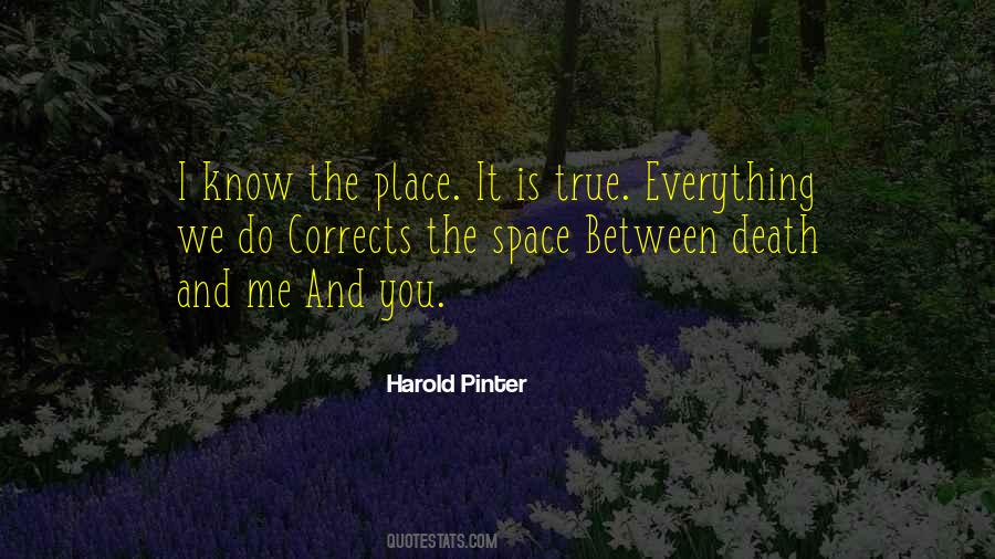 Harold Pinter Quotes #1115436