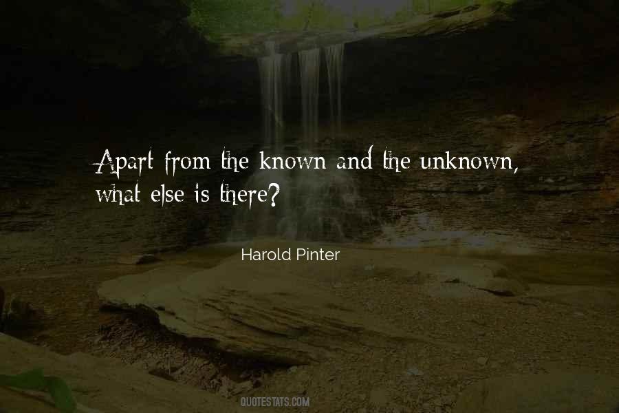 Harold Pinter Quotes #1642119