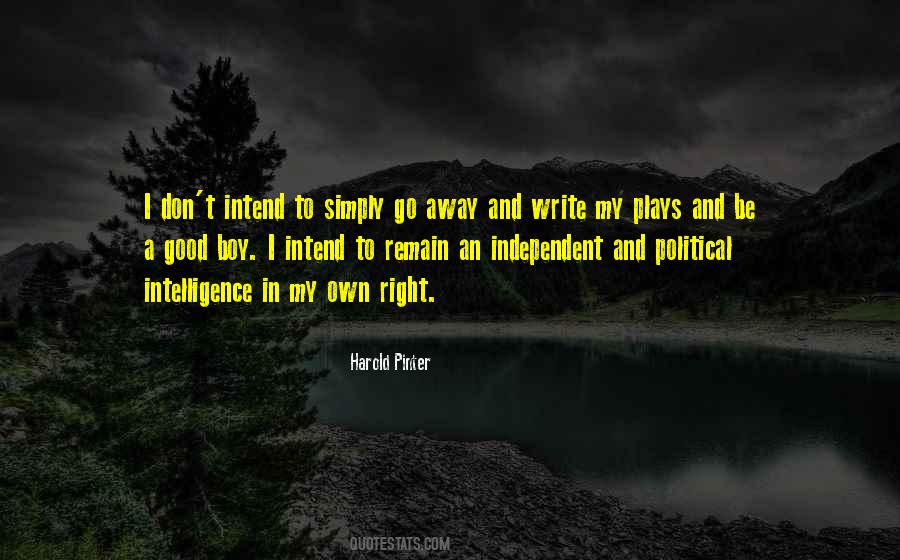 Harold Pinter Quotes #1718944