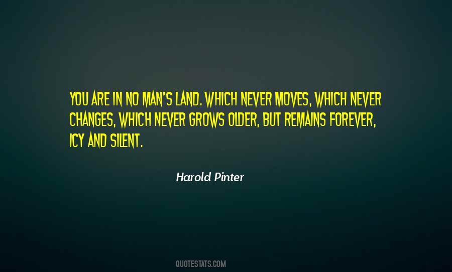 Harold Pinter Quotes #737818