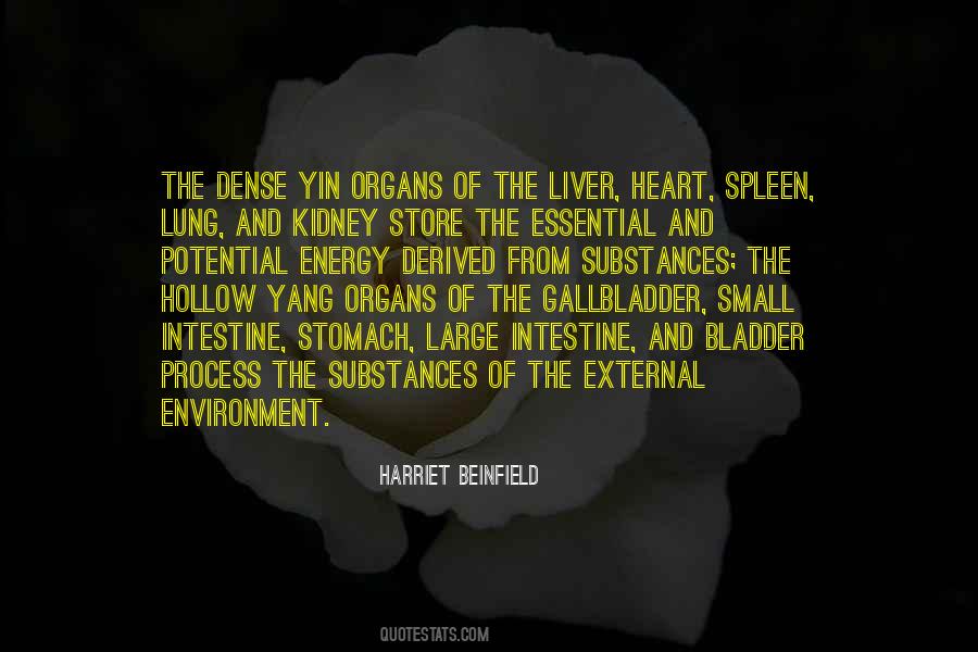 Harriet Beinfield Quotes #1062498