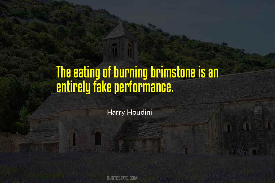 Harry Houdini Quotes #32384