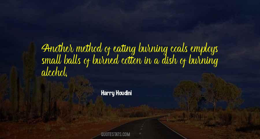 Harry Houdini Quotes #487906