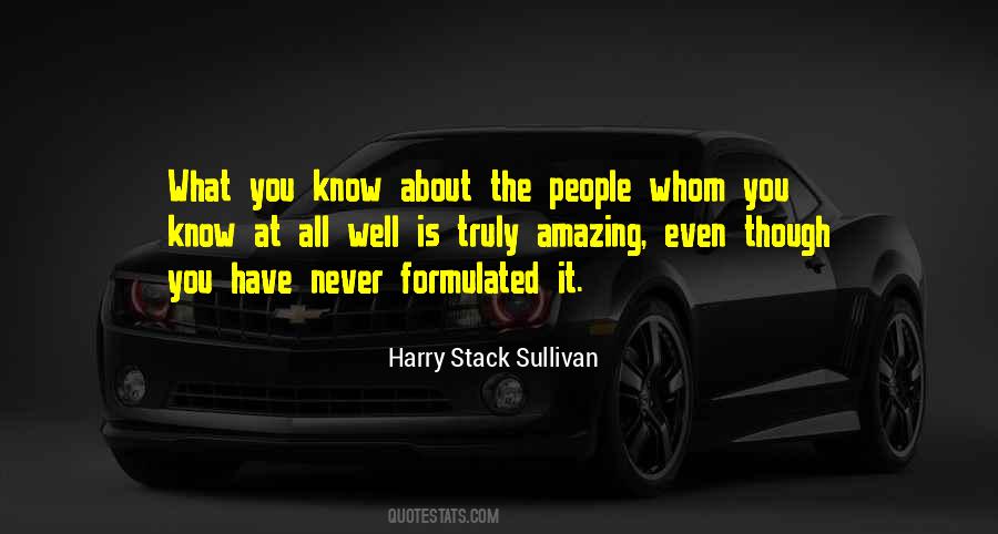 Harry Stack Sullivan Quotes #811823