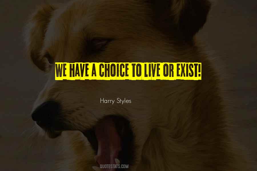 Harry Styles Quotes #323672