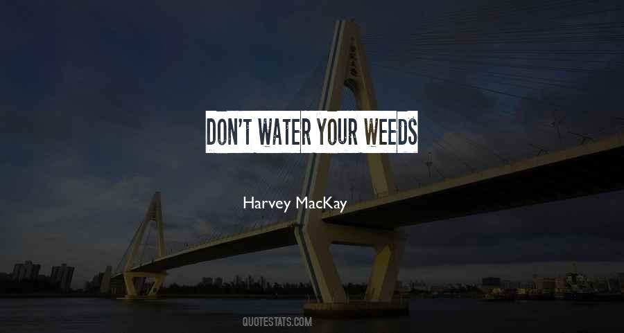 Harvey MacKay Quotes #1509636