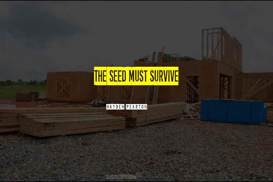 Hayden Pearton Quotes #243185 Hayden Pearton Quotes #243185