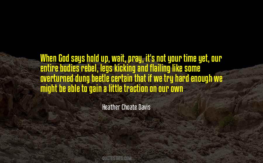 Heather Choate Davis Quotes #1215887