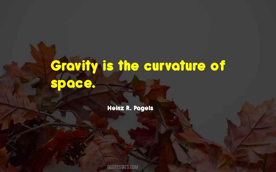 Heinz R. Pagels Quotes #200431