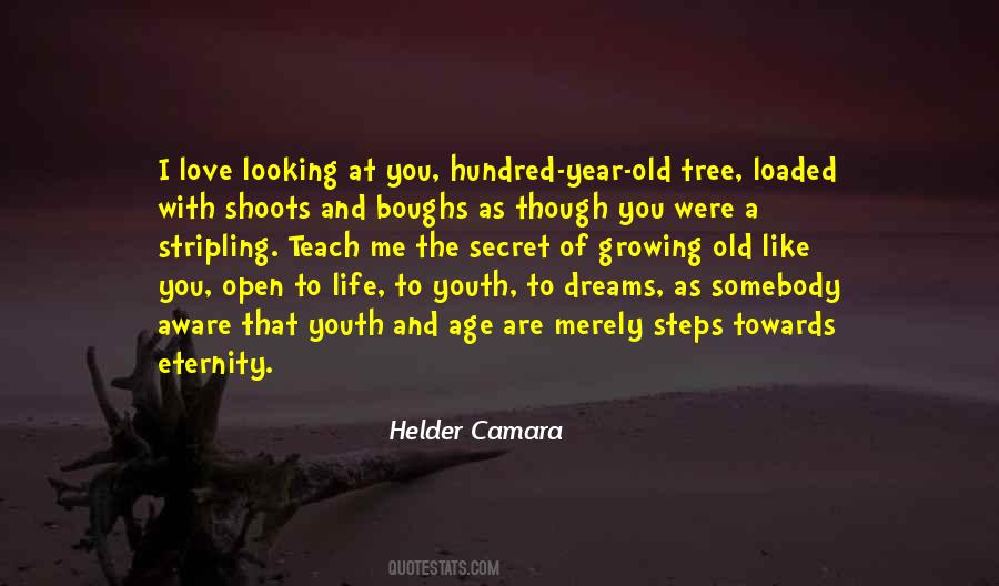 Helder Camara Quotes #155805