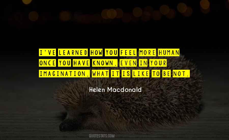 Helen Macdonald Quotes #839218