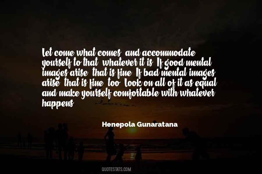Henepola Gunaratana Quotes #1040898