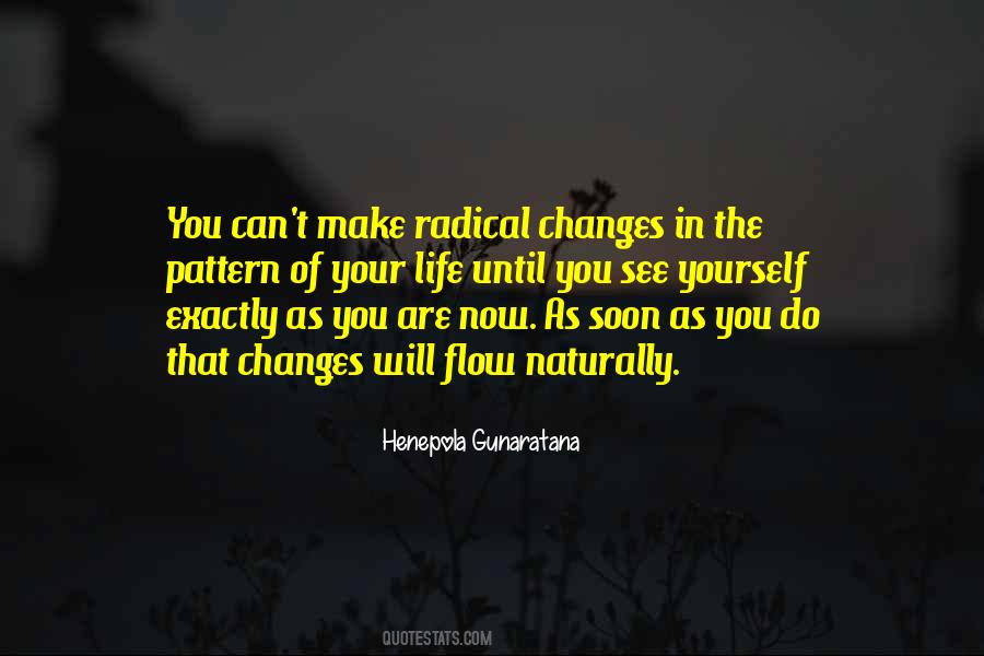 Henepola Gunaratana Quotes #1188661