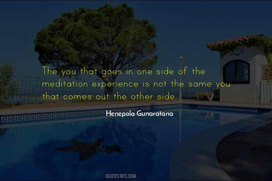 Henepola Gunaratana Quotes #74801