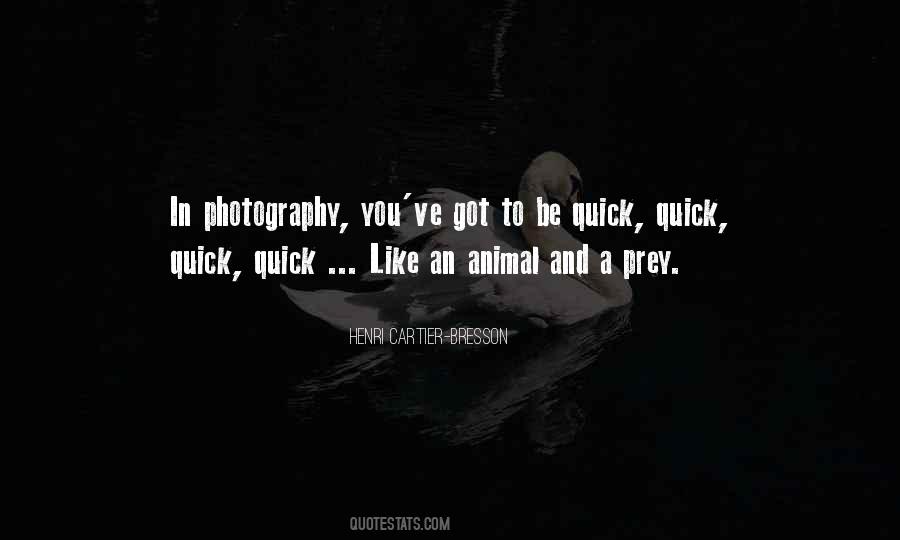 Henri Cartier-Bresson Quotes #1437302