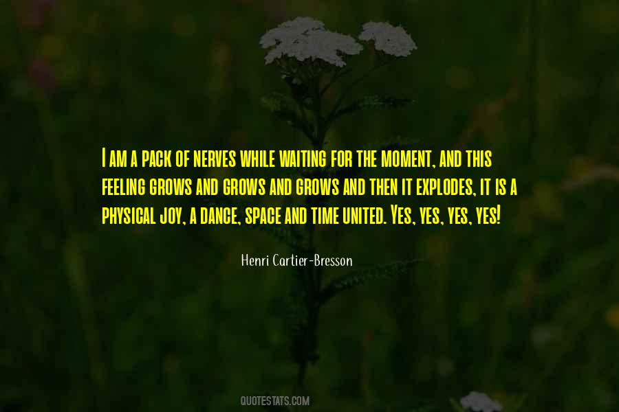 Henri Cartier-Bresson Quotes #944761