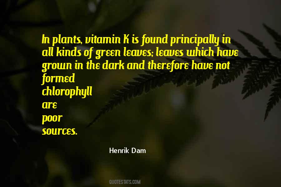 Henrik Dam Quotes #1402405