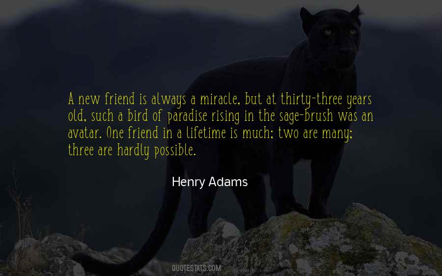 Henry Adams Quotes #218517