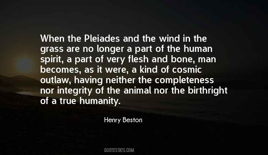 Henry Beston Quotes #60724