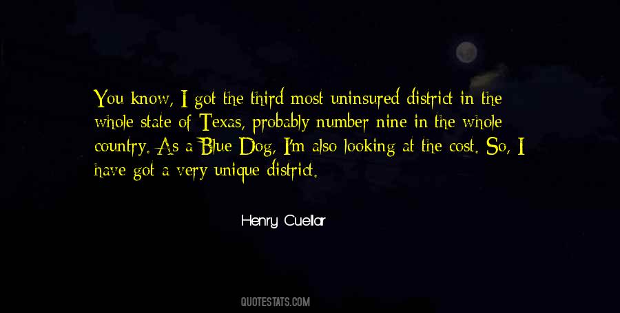 Henry Cuellar Quotes #1520201