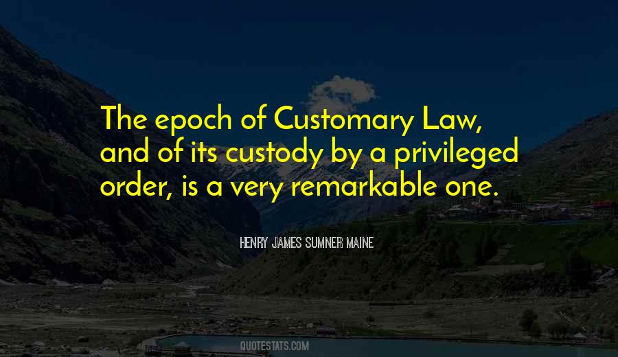 Henry James Sumner Maine Quotes #703826