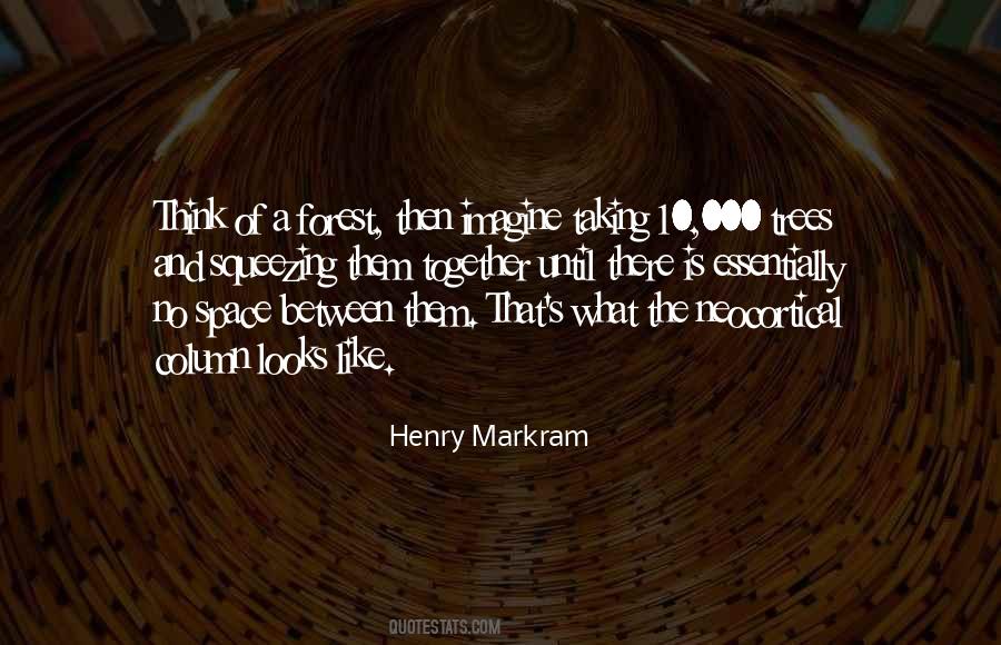 Henry Markram Quotes #99773
