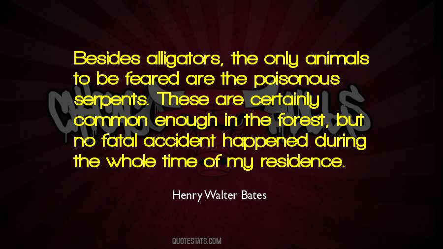 Henry Walter Bates Quotes #1443786