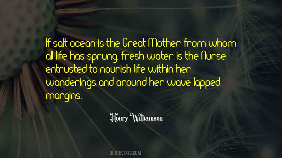 Henry Williamson Quotes #1669034