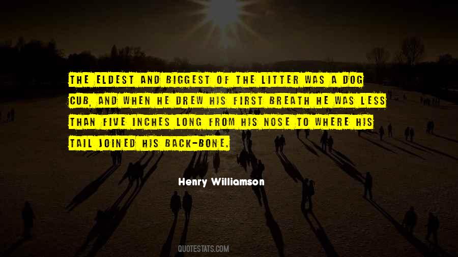 Henry Williamson Quotes #936678